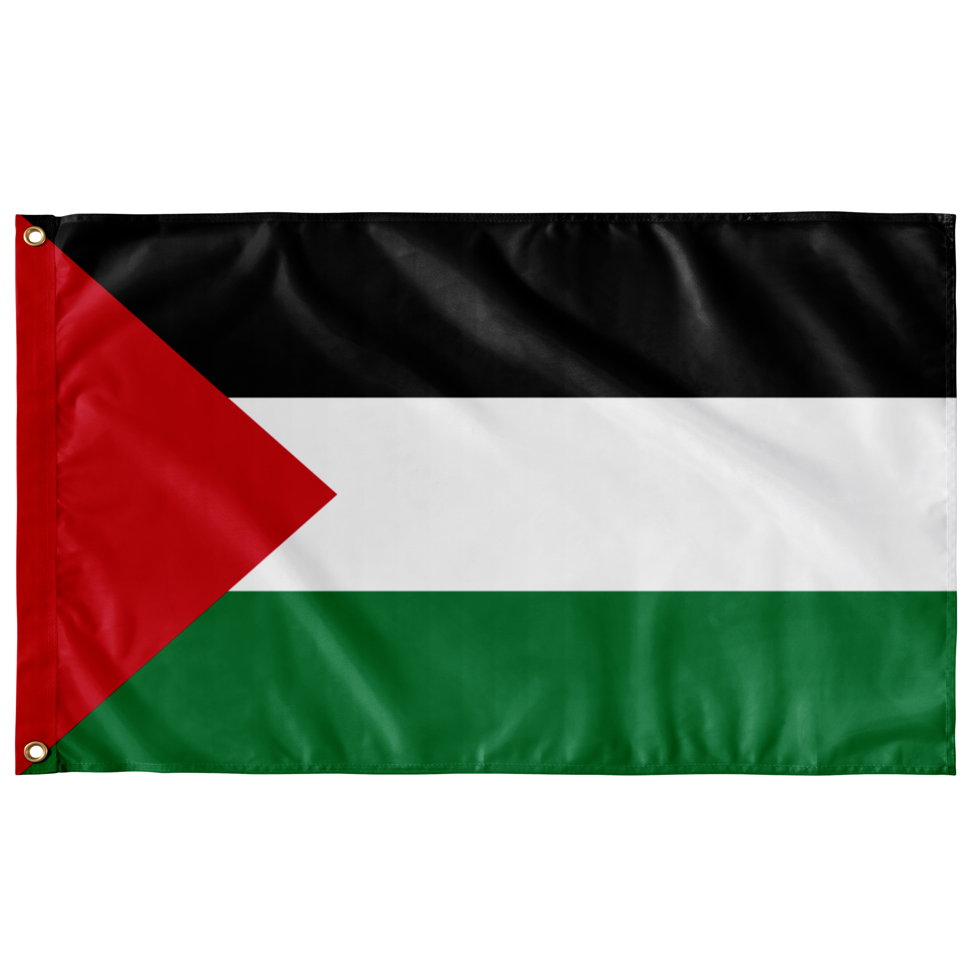 Palestine Flag