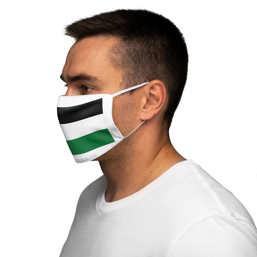 Palestine Flag Face Mask